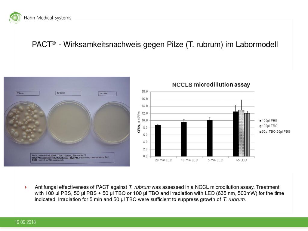 PACT® - Wirksamkeitsnachweis gegen Pilze (T. rubrum) im Labormodell