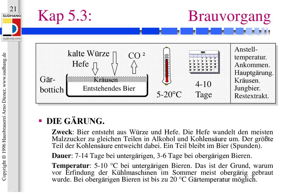 Kap 5.3: Brauvorgang kalte Würze CO ² Hefe Gär- bottich 4-10 Tage