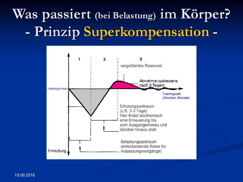 Was passiert (bei Belastung) im Körper - Prinzip Superkompensation -