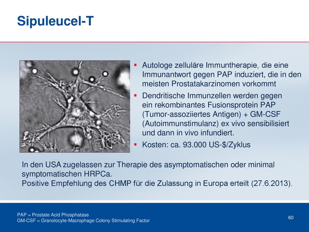 Sipuleucel-T Autologe zelluläre Immuntherapie, die eine Immunantwort gegen PAP induziert, die in den meisten Prostatakarzinomen vorkommt.
