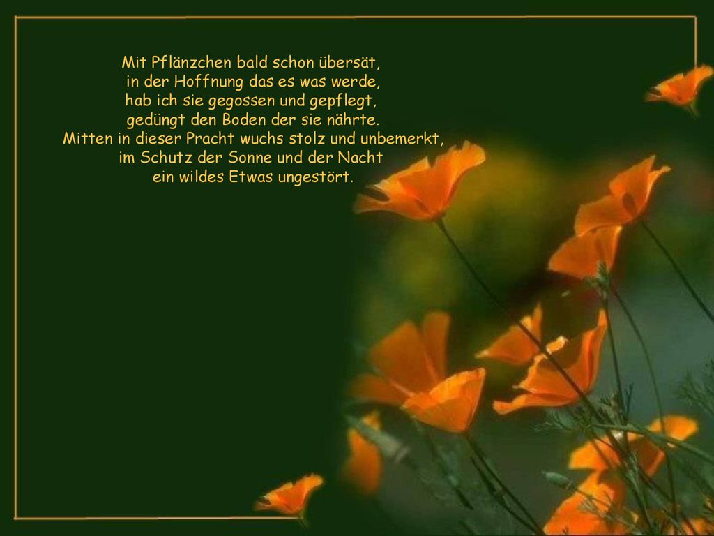 Mit Pflänzchen bald schon übersät, in der Hoffnung das es was werde,