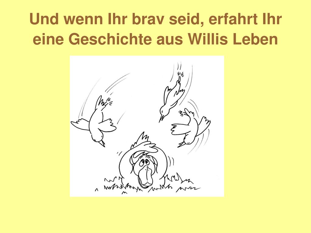 Und wenn Ihr brav seid, erfahrt Ihr eine Geschichte aus Willis Leben
