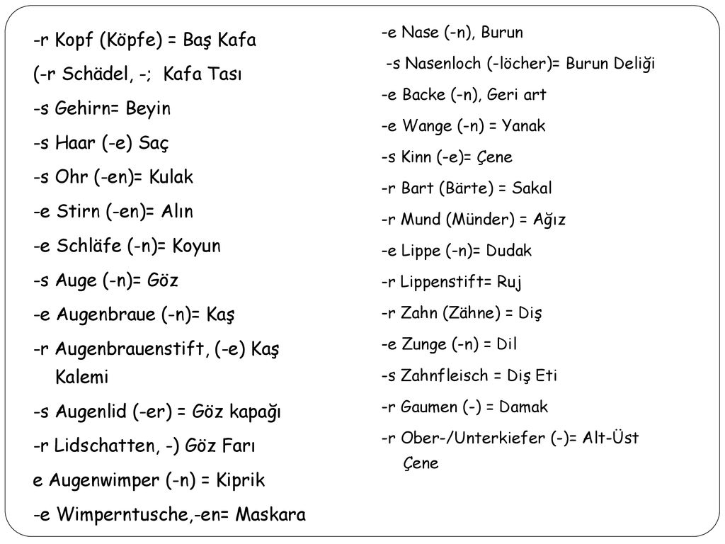 -e Nase (-n), Burun -s Nasenloch (-löcher)= Burun Deliği. -e Backe (-n), Geri art. -e Wange (-n) = Yanak.