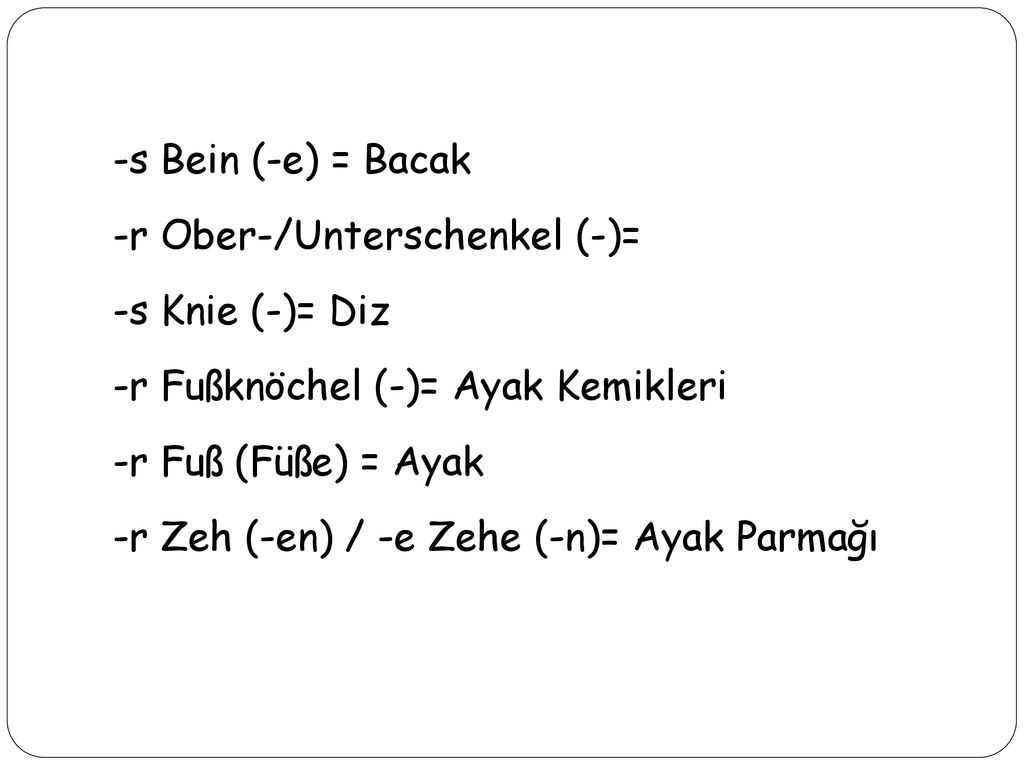 -s Bein (-e) = Bacak -r Ober-/Unterschenkel (-)= -s Knie (-)= Diz. -r Fußknöchel (-)= Ayak Kemikleri.