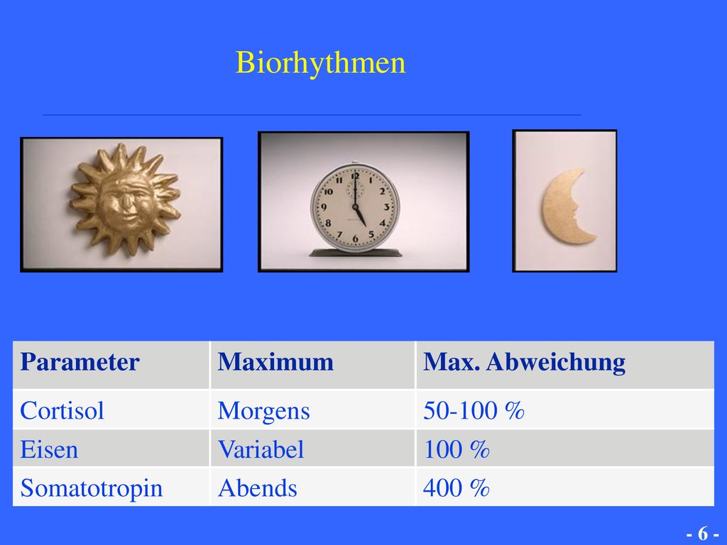 Biorhythmen Parameter Maximum Max. Abweichung Cortisol Morgens