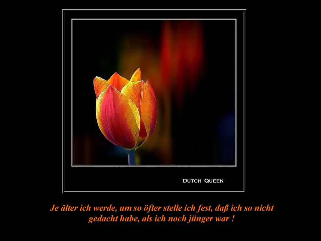 Je älter ich werde, um so öfter stelle ich fest, daß ich so nicht gedacht habe, als ich noch jünger war !