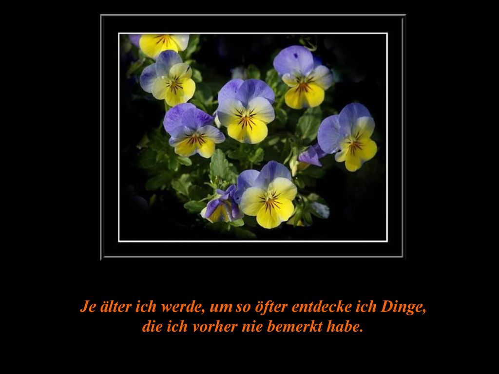 Je älter ich werde, um so öfter entdecke ich Dinge, die ich vorher nie bemerkt habe.
