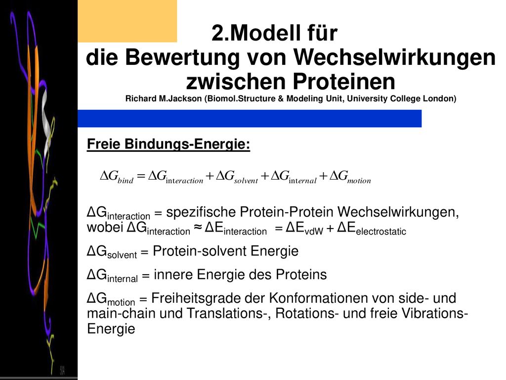 2.Modell für die Bewertung von Wechselwirkungen zwischen Proteinen Richard M.Jackson (Biomol.Structure & Modeling Unit, University College London)