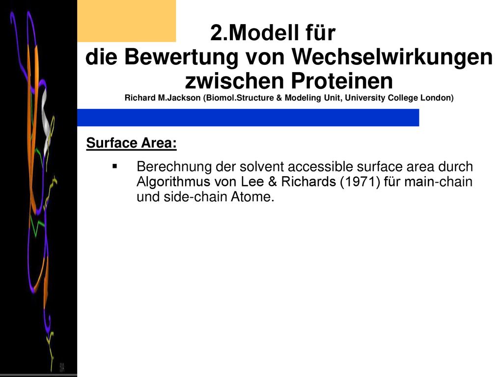 2.Modell für die Bewertung von Wechselwirkungen zwischen Proteinen Richard M.Jackson (Biomol.Structure & Modeling Unit, University College London)