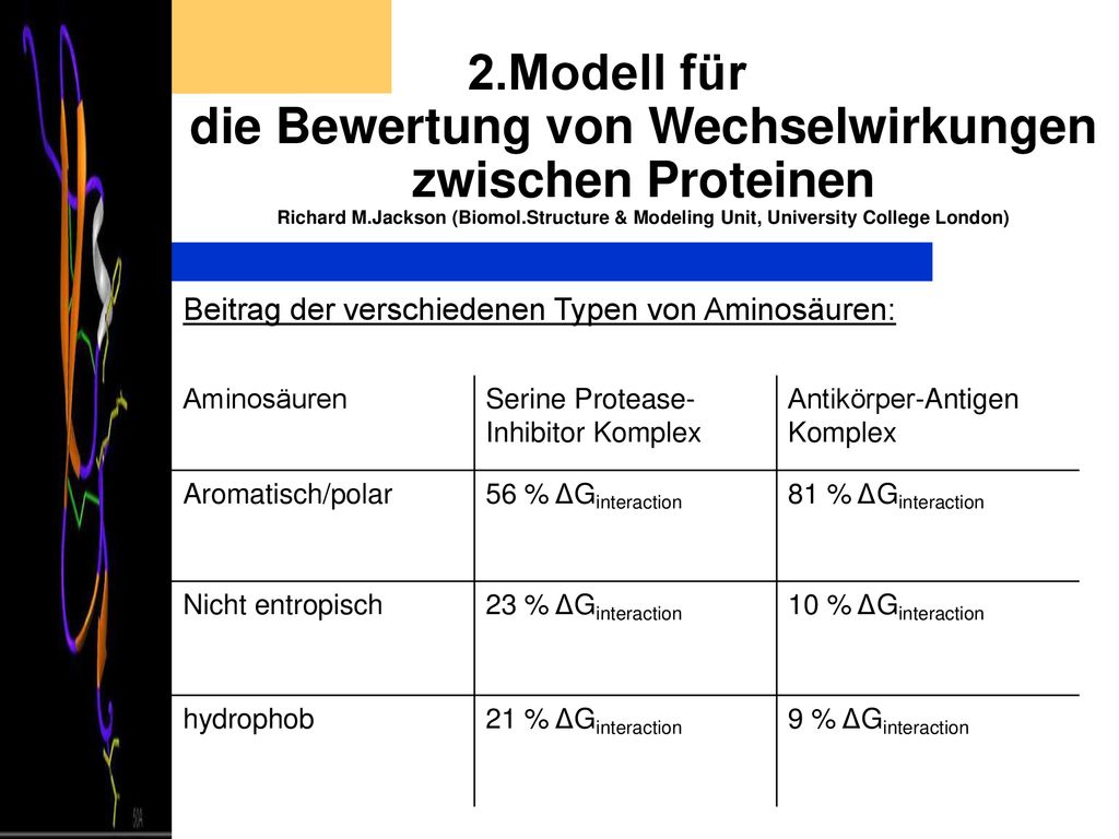 2.Modell für die Bewertung von Wechselwirkungen zwischen Proteinen Richard M.Jackson (Biomol.Structure & Modeling Unit, University College London)