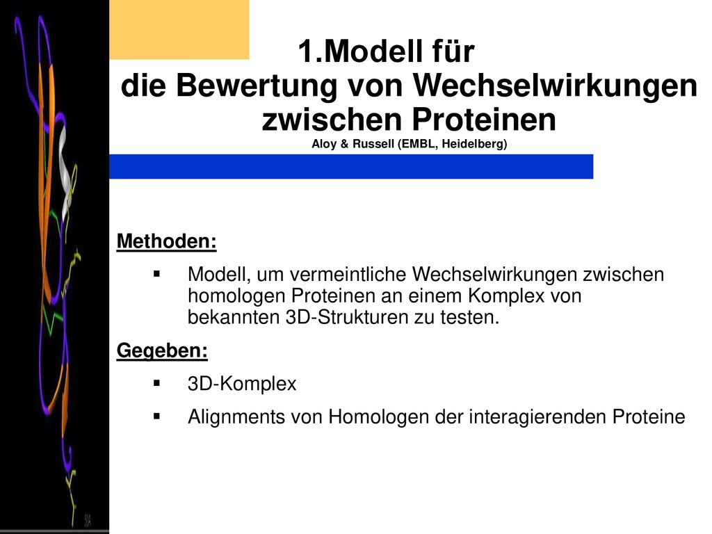 1.Modell für die Bewertung von Wechselwirkungen zwischen Proteinen Aloy & Russell (EMBL, Heidelberg)