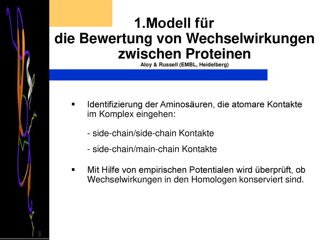 1.Modell für die Bewertung von Wechselwirkungen zwischen Proteinen Aloy & Russell (EMBL, Heidelberg)