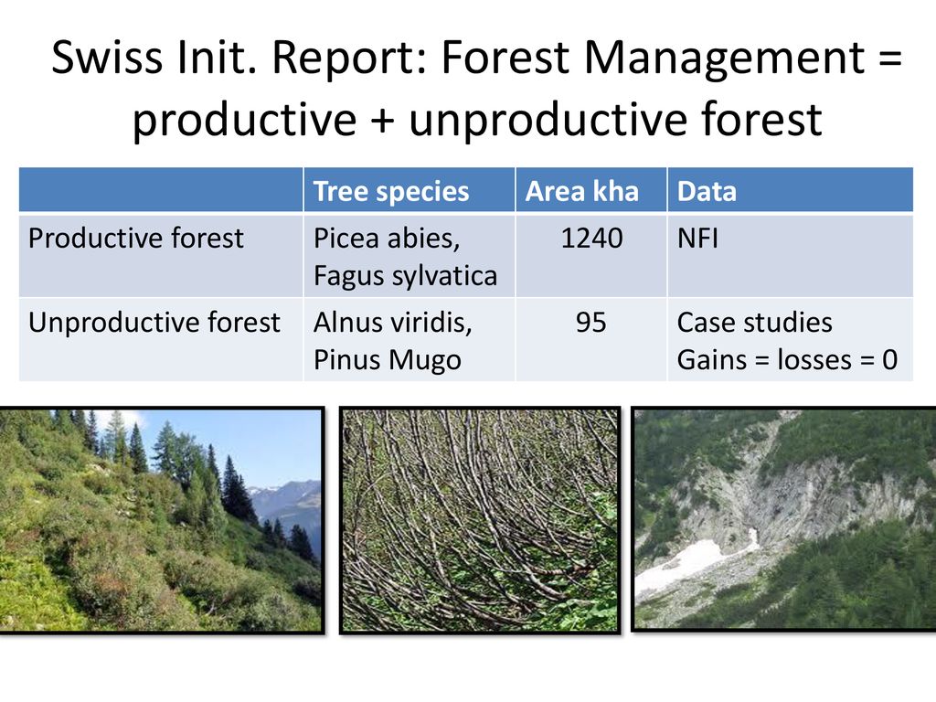 Swiss Init. Report: Forest Management = productive + unproductive forest