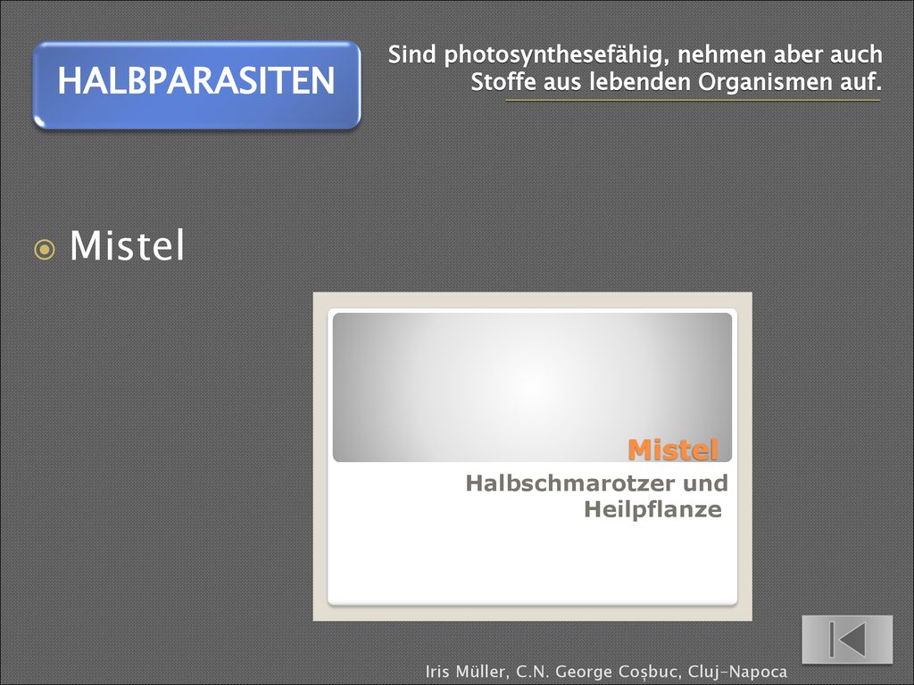 Sind photosynthesefähig, nehmen aber auch Stoffe aus lebenden Organismen auf.