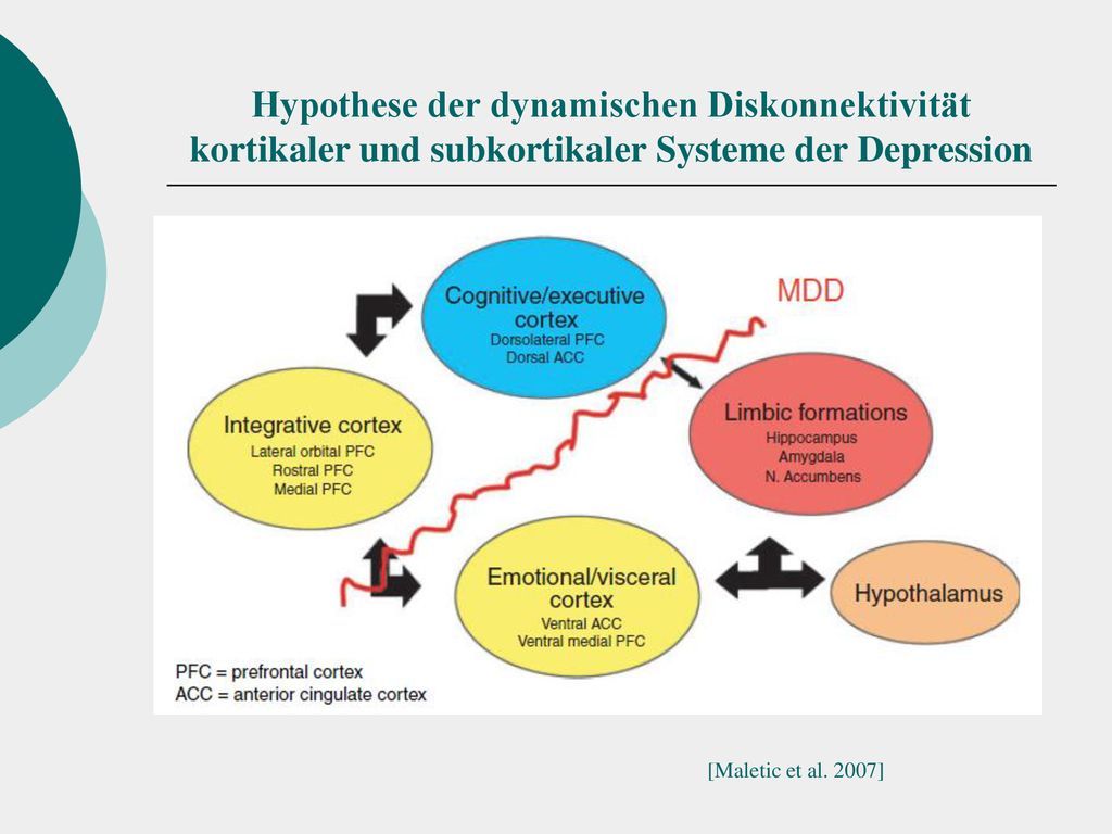 Hypothese der dynamischen Diskonnektivität kortikaler und subkortikaler Systeme der Depression