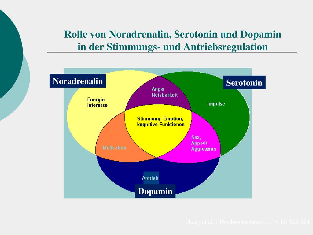 Rolle von Noradrenalin, Serotonin und Dopamin in der Stimmungs- und Antriebsregulation