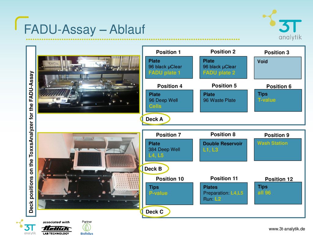 FADU-Assay – Ablauf Position 1 Position 2 Position 3 Position 4