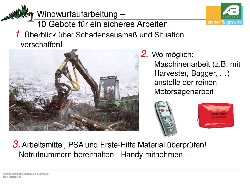Windwurfaufarbeitung – 10 Gebote für ein sicheres Arbeiten