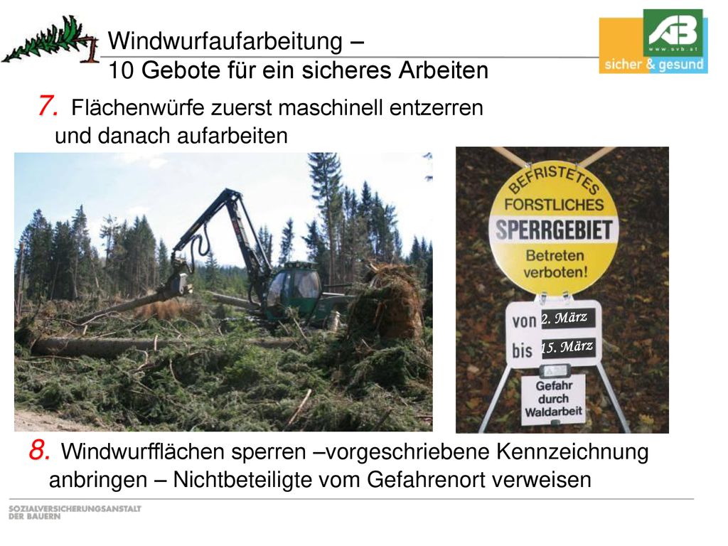 Windwurfaufarbeitung – 10 Gebote für ein sicheres Arbeiten