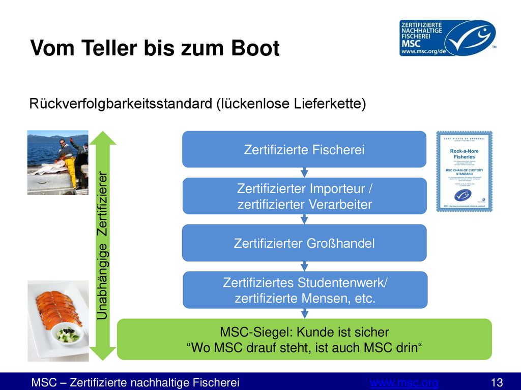 Vom Teller bis zum Boot Rückverfolgbarkeitsstandard (lückenlose Lieferkette) Zertifizierter Großhandel.