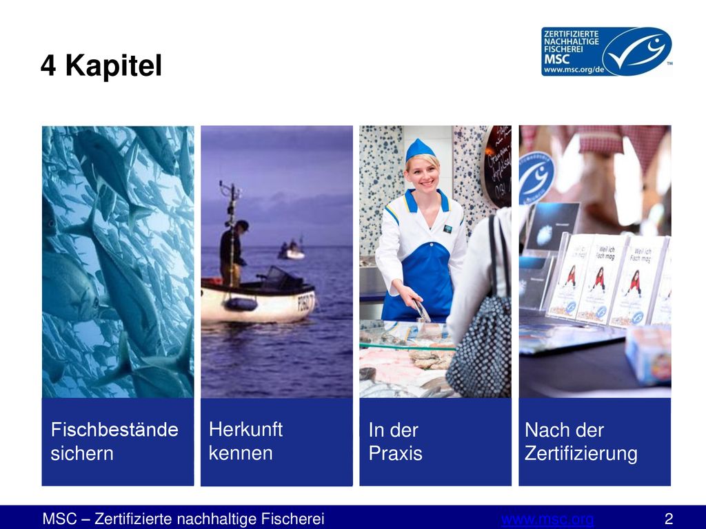 4 Kapitel Fischbestände sichern Herkunft kennen In der Praxis Nach der