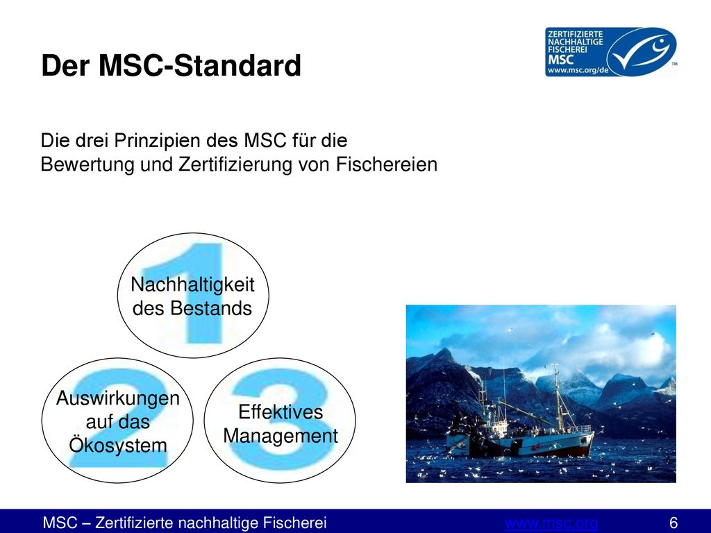 Der MSC-Standard Die drei Prinzipien des MSC für die Bewertung und Zertifizierung von Fischereien.