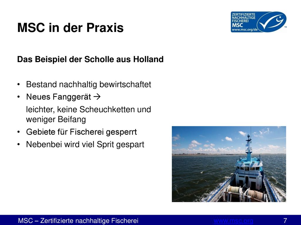 MSC in der Praxis Das Beispiel der Scholle aus Holland