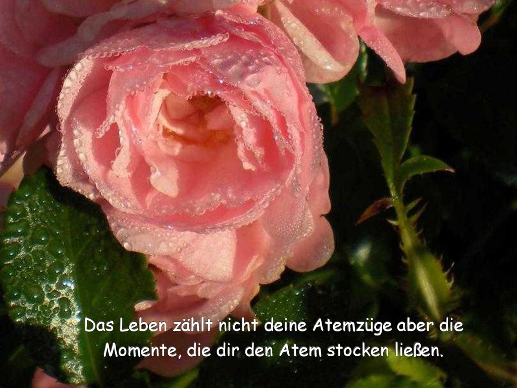 und vergiss für einmal die Zeit ppt herunterladen