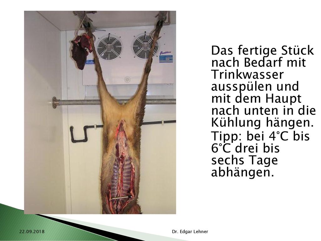 Tipp: bei 4°C bis 6°C drei bis sechs Tage abhängen.