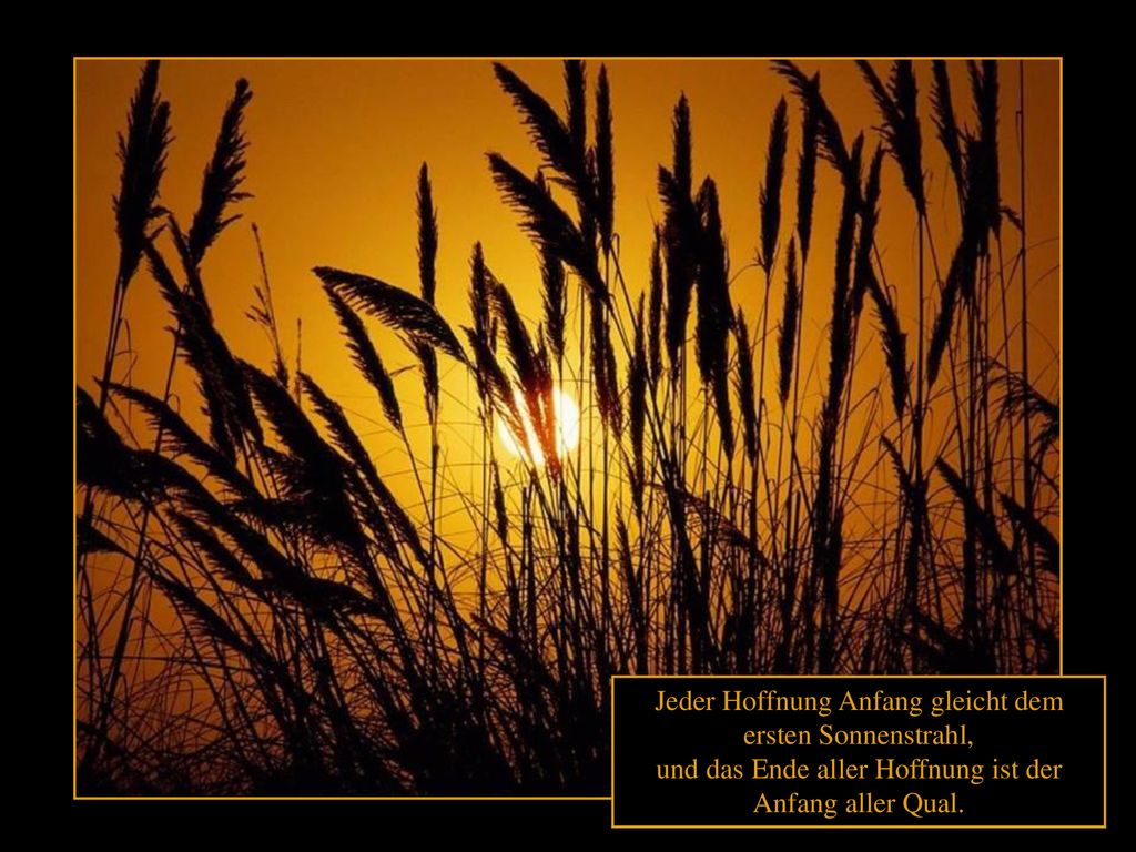 Jeder Hoffnung Anfang gleicht dem ersten Sonnenstrahl, und das Ende aller Hoffnung ist der Anfang aller Qual.
