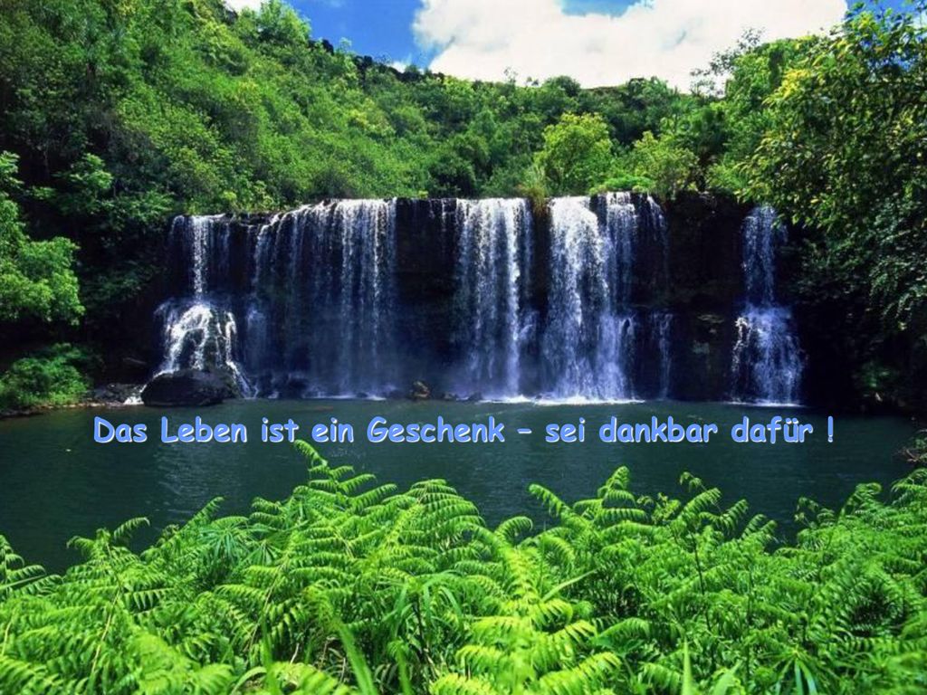Das Leben ist ein Geschenk – sei dankbar dafür !