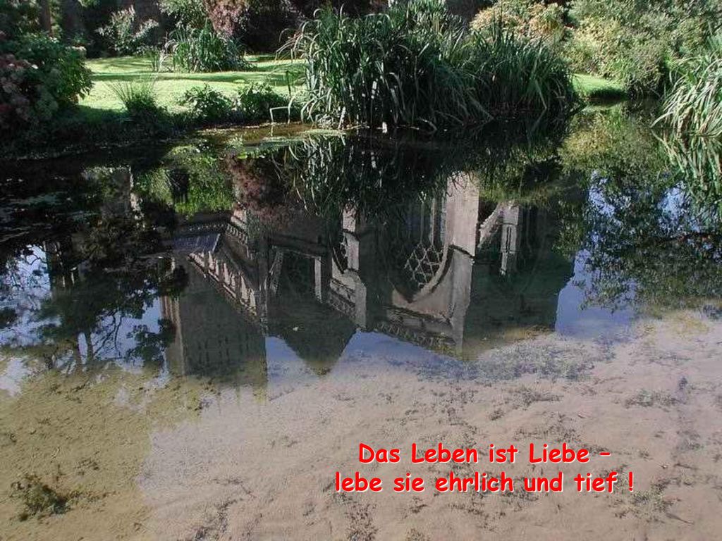 Das Leben ist Liebe – lebe sie ehrlich und tief !