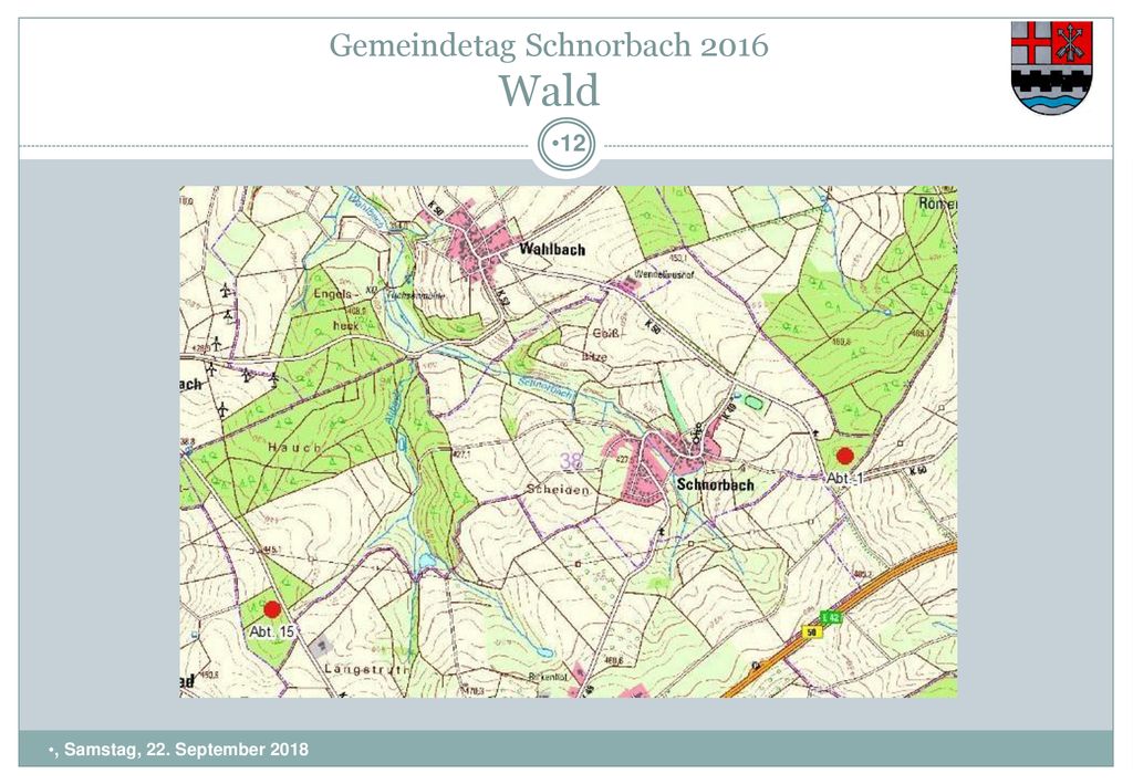 Gemeindetag Schnorbach 2016 Wald
