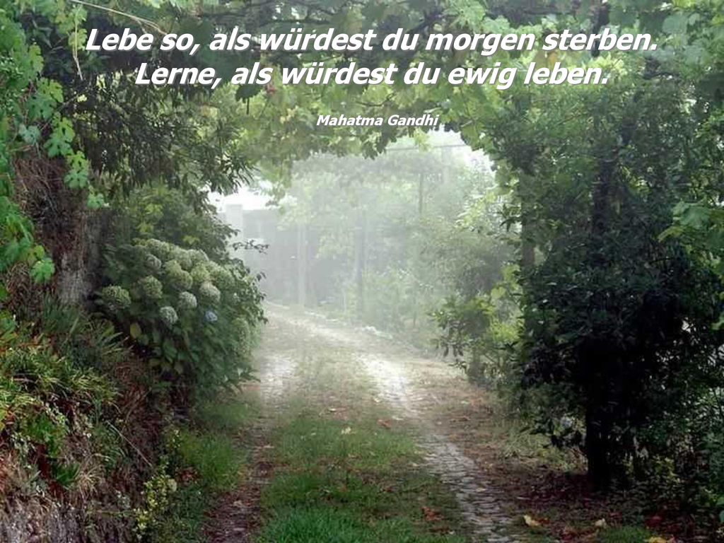 Zauber eines ppt herunterladen