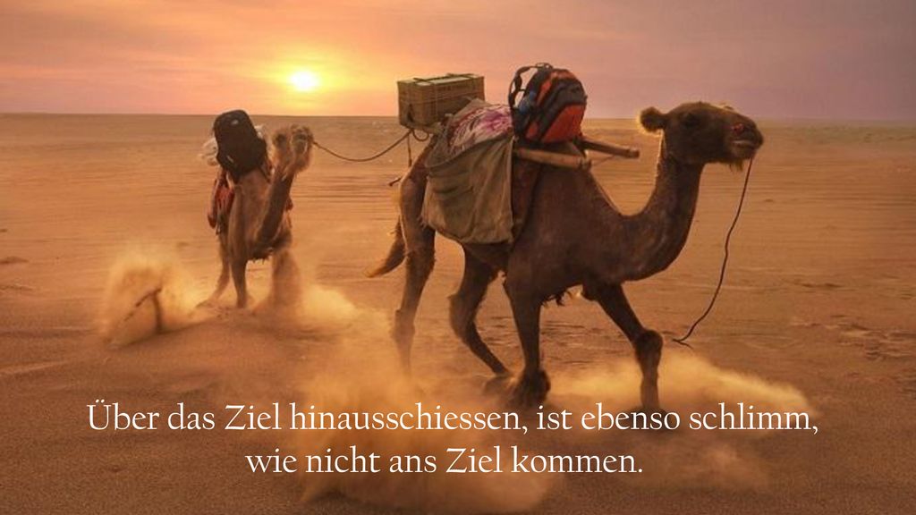 Über das Ziel hinausschiessen, ist ebenso schlimm, wie nicht ans Ziel kommen.
