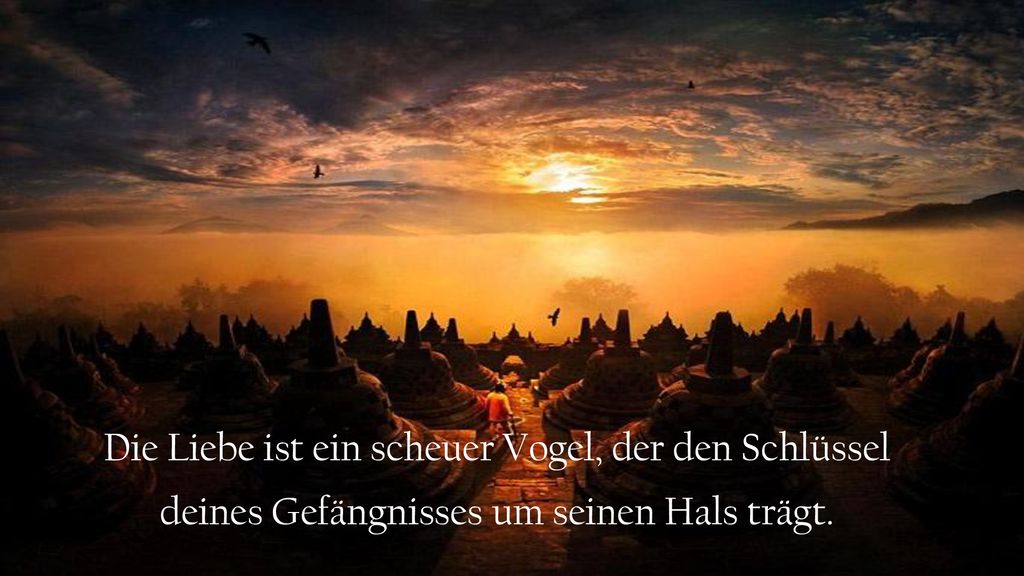 Die Liebe ist ein scheuer Vogel, der den Schlüssel deines Gefängnisses um seinen Hals trägt.