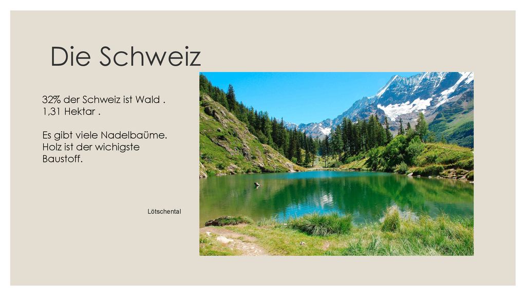 Die Schweiz 32% der Schweiz ist Wald . 1,31 Hektar .