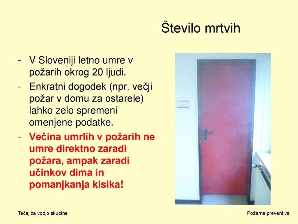 Število mrtvih V Sloveniji letno umre v požarih okrog 20 ljudi.