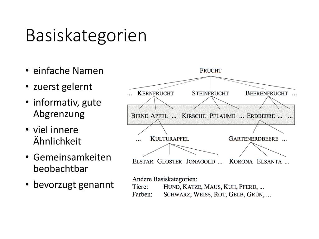 Basiskategorien einfache Namen zuerst gelernt