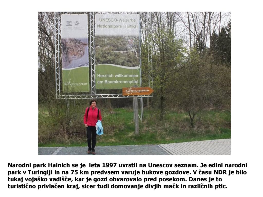 Narodni park Hainich se je leta 1997 uvrstil na Unescov seznam