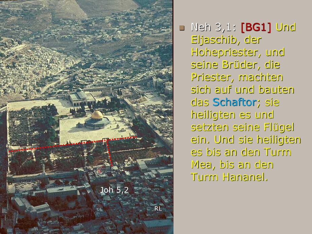 Neh 3,1: [BG1] Und Eljaschib, der Hohepriester, und seine Brüder, die Priester, machten sich auf und bauten das Schaftor; sie heiligten es und setzten seine Flügel ein. Und sie heiligten es bis an den Turm Mea, bis an den Turm Hananel.