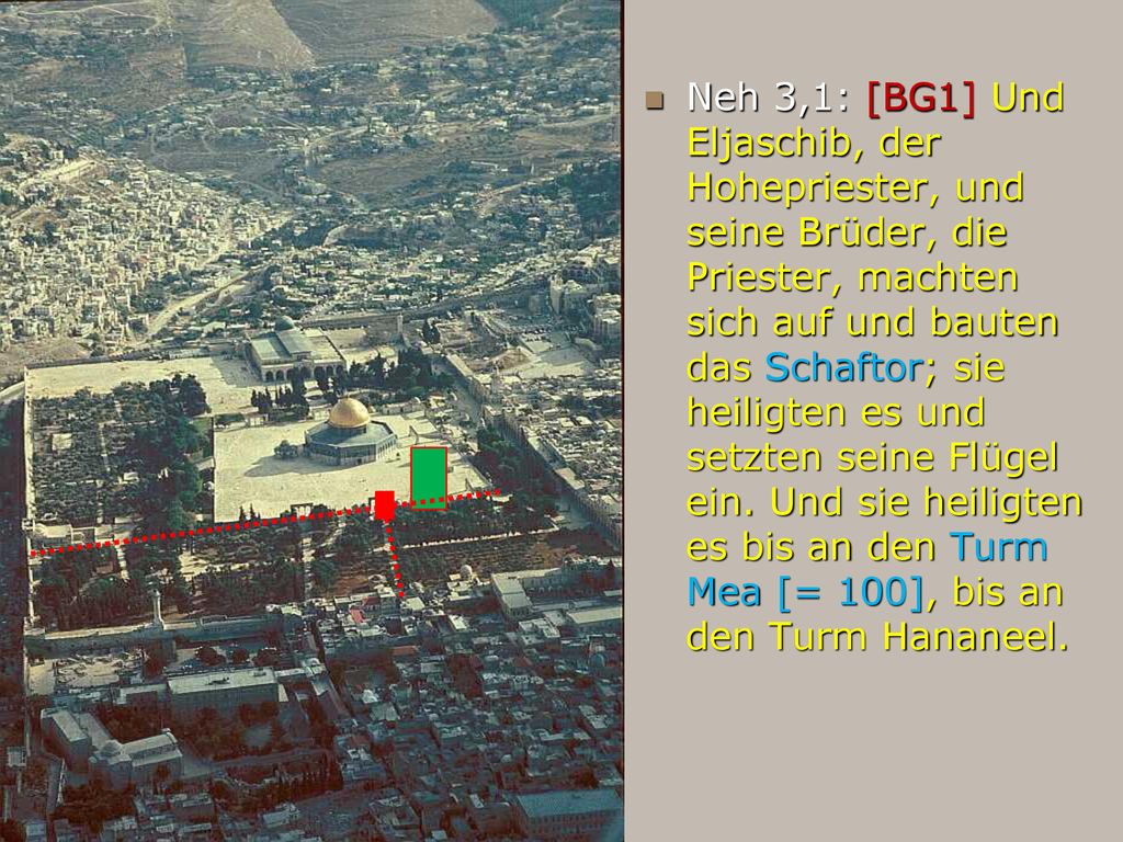 Neh 3,1: [BG1] Und Eljaschib, der Hohepriester, und seine Brüder, die Priester, machten sich auf und bauten das Schaftor; sie heiligten es und setzten seine Flügel ein.