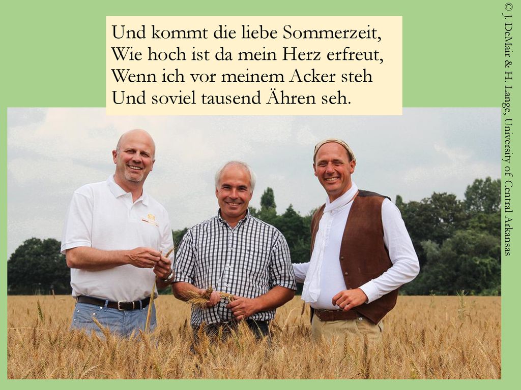 Und kommt die liebe Sommerzeit, Wie hoch ist da mein Herz erfreut, Wenn ich vor meinem Acker steh Und soviel tausend Ähren seh.
