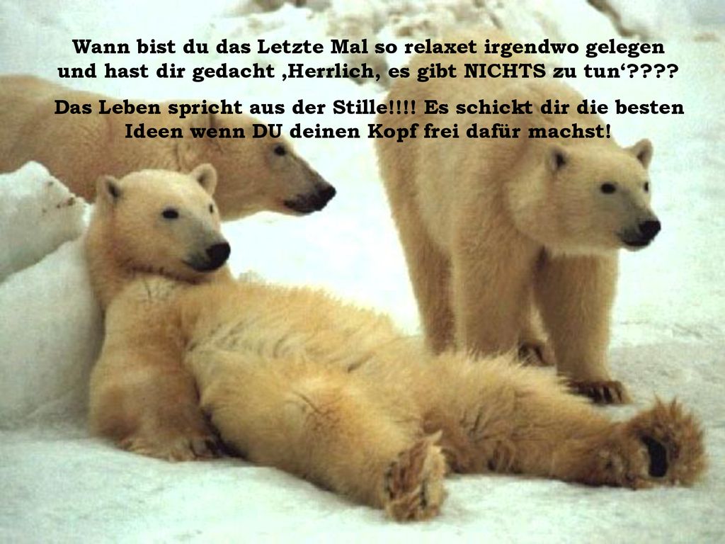 Wann bist du das Letzte Mal so relaxet irgendwo gelegen und hast dir gedacht ‚Herrlich, es gibt NICHTS zu tun‘