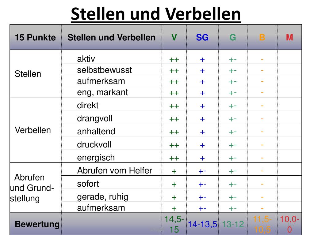 Stellen und Verbellen 15 Punkte Stellen und Verbellen V SG G B M