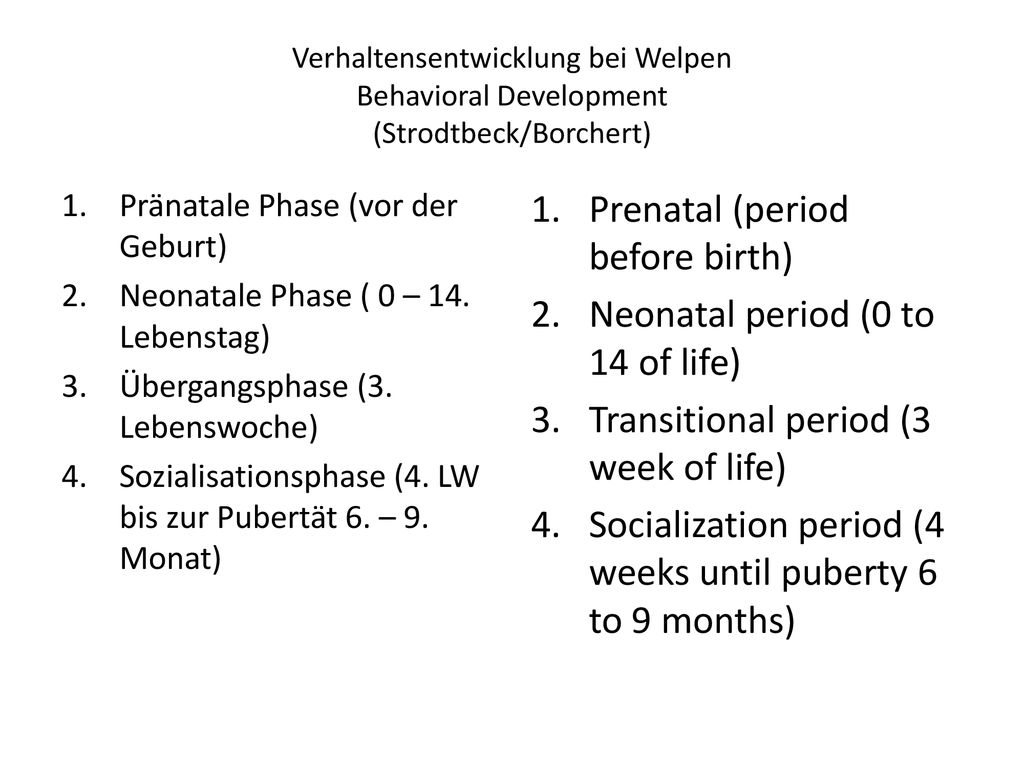 Prenatal (period before birth) Neonatal period (0 to 14 of life)
