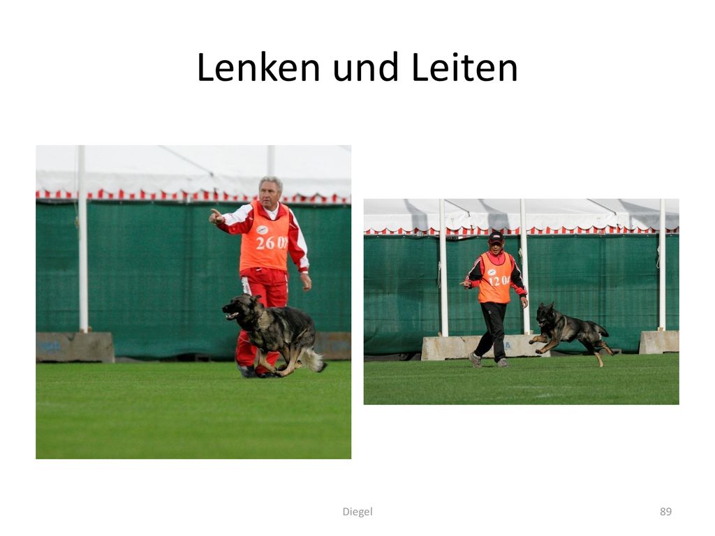 Lenken und Leiten Diegel
