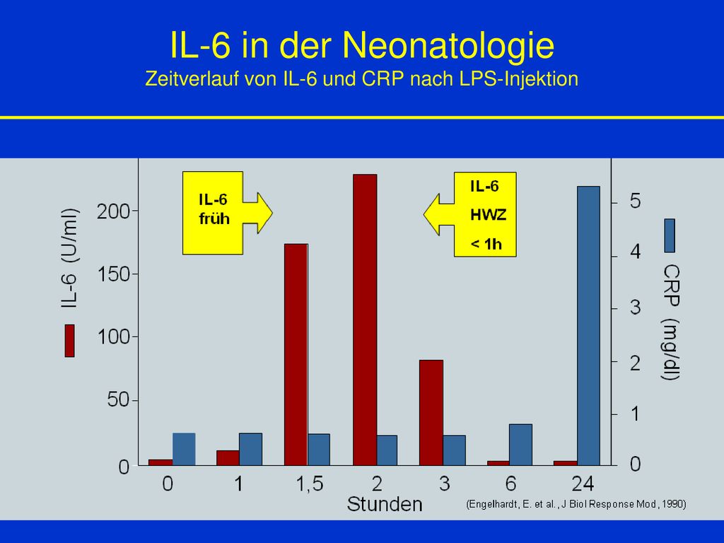 IL-6 in der Neonatologie Zeitverlauf von IL-6 und CRP nach LPS-Injektion