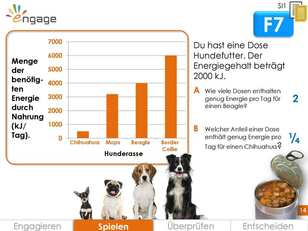 SI1 F7. Menge der benötig-ten Energie durch Nahrung (kJ/ Tag). Hunderasse. Chihuahua Mops Beagle Border Collie.