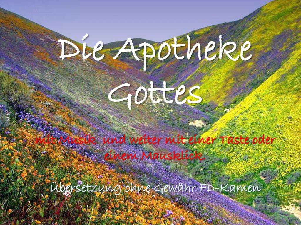 Die Apotheke Gottes mit Musik und weiter mit einer Taste oder einem Mausklick.